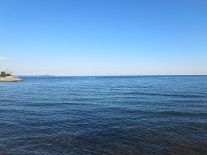 IMG_0159