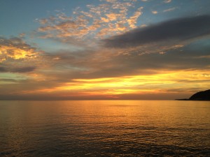IMG_1586