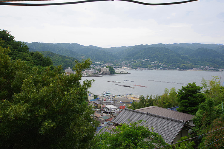 戸建