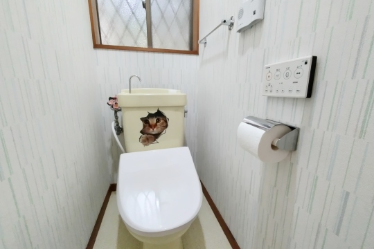 戸建