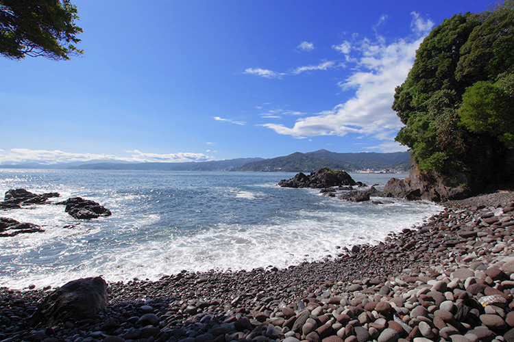 マンション共有部分