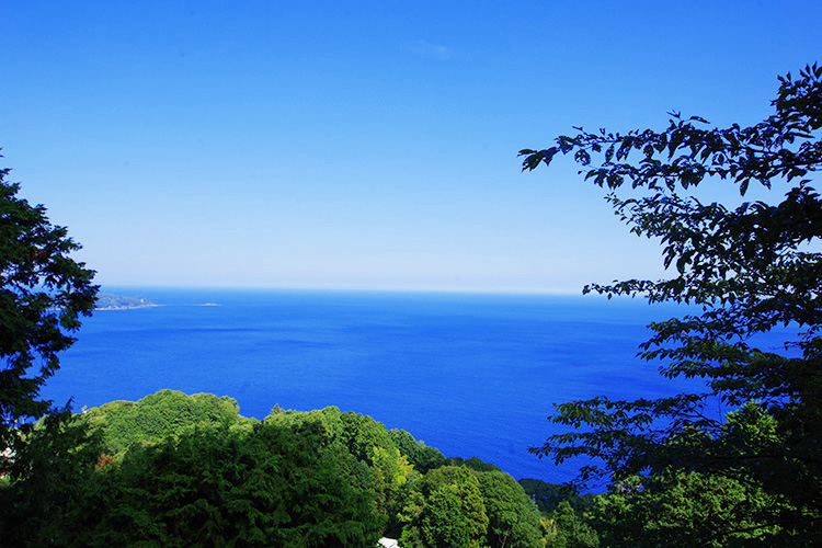 戸建 南熱海(多賀・網代)