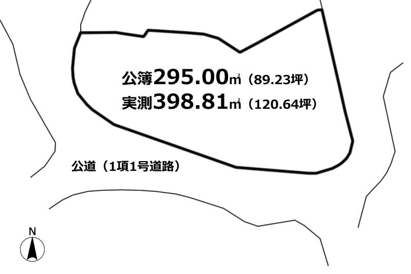 地形図