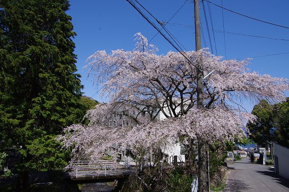 熱海土地