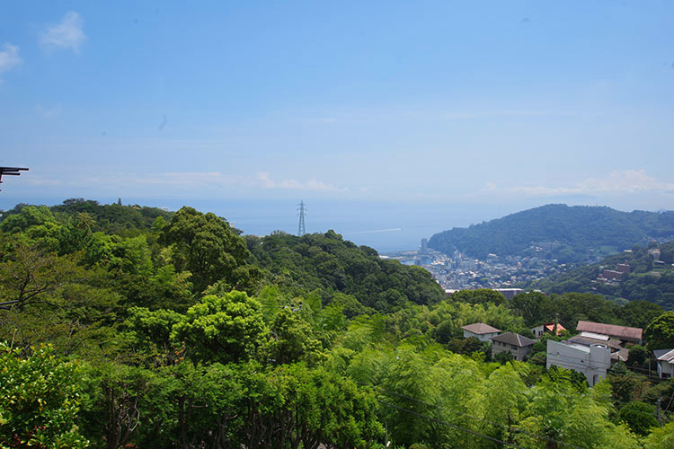 戸建