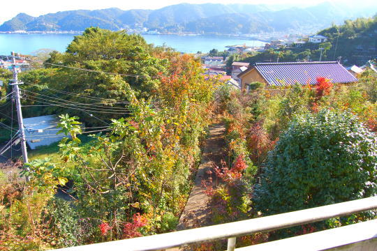 戸建