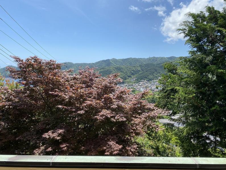 戸建