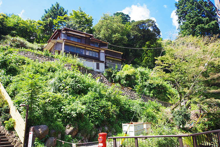 戸建