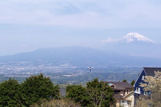 戸建