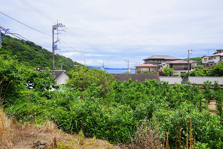 熱海土地