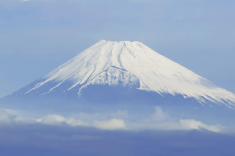 戸建