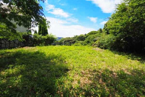 土地 熱海・南箱根